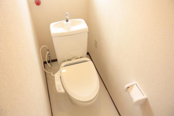 Toilet. It was replaced with a new toilet. It is a new article is happy precisely because toilet. 