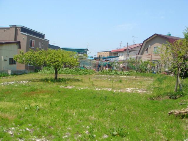 Local appearance photo. On-site field (about 200 square meters)