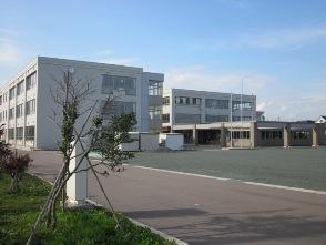 Primary school. Xincheng 250m up to elementary school