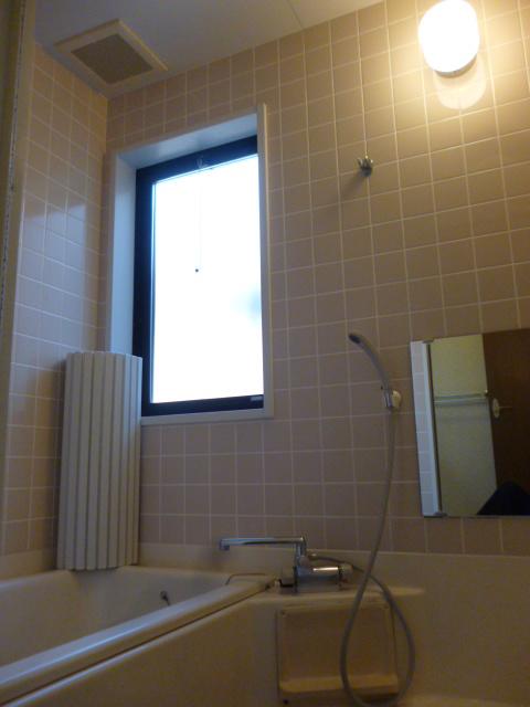 Bathroom. Indoor (10 May 2013) Shooting