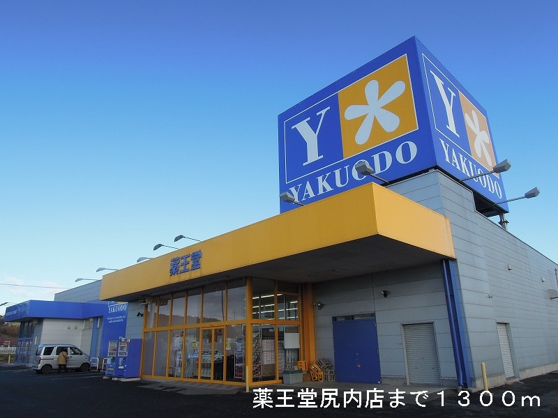 Dorakkusutoa. KusuriOdo Shirinai shop 1300m until (drugstore)