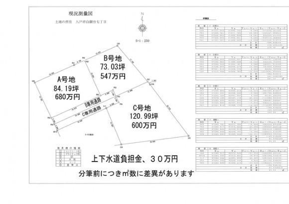 Compartment figure. Land price 5.47 million yen, Land area 302.94 sq m