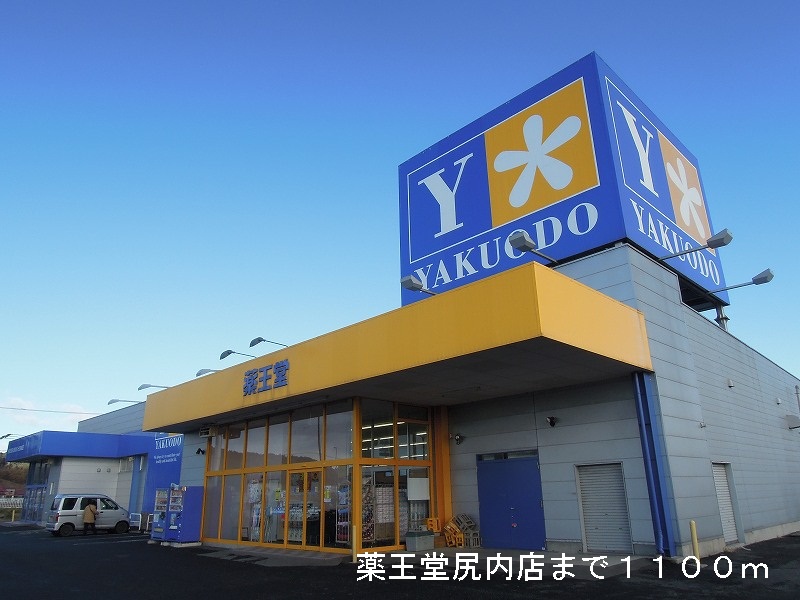 Dorakkusutoa. KusuriOdo Shirinai shop 1100m until (drugstore)