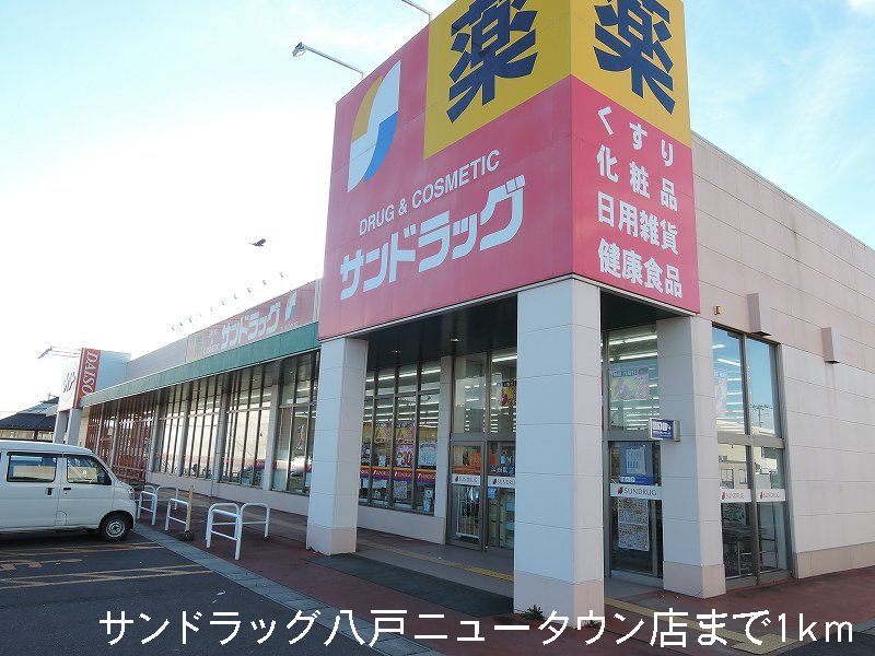 Dorakkusutoa. San drag Hachinohe New Town store 1000m until (drugstore)