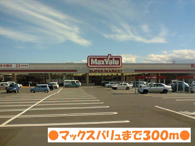 Supermarket. 300m until Maxvalu (super)
