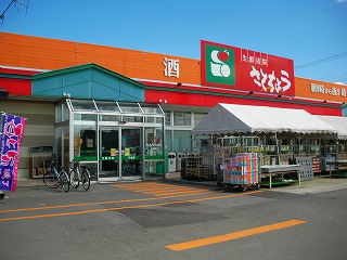 Other. Sato length trees store walk 13 minutes