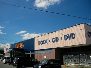 Other. Video rental store