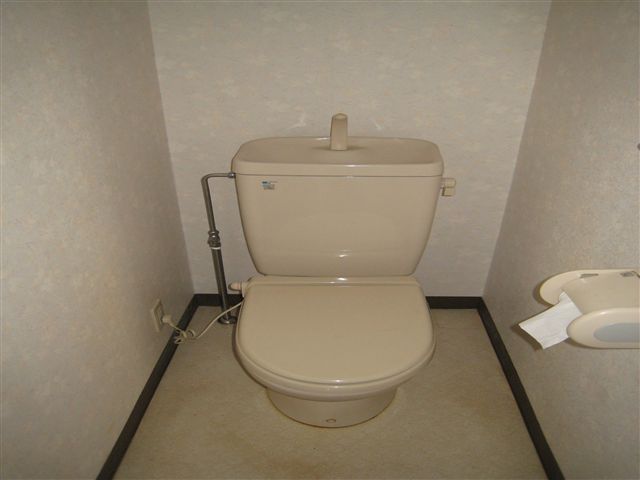 Toilet. It is cleaning toilet seat.