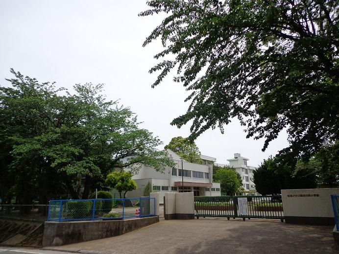 Primary school. 380m to Hubei Taito elementary school