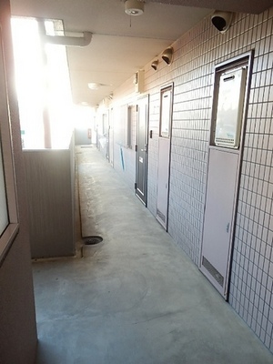 Entrance. Joint corridor