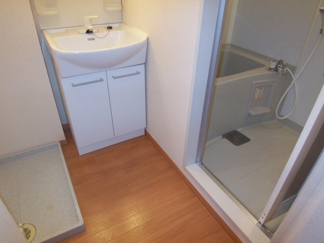 Washroom. Indoor Laundry Storage