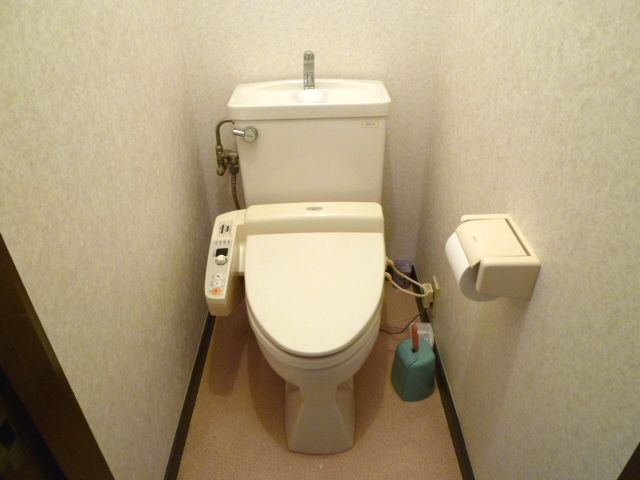 Toilet. Toilet