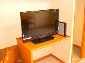 Other. There is also an LCD TV!