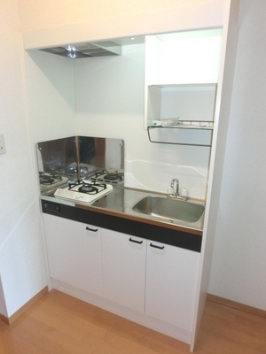 Kitchen. Gas stove with system Kitchen