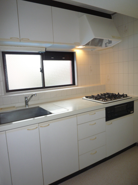 Kitchen. The bright kitchen has a window with a three-necked system grill