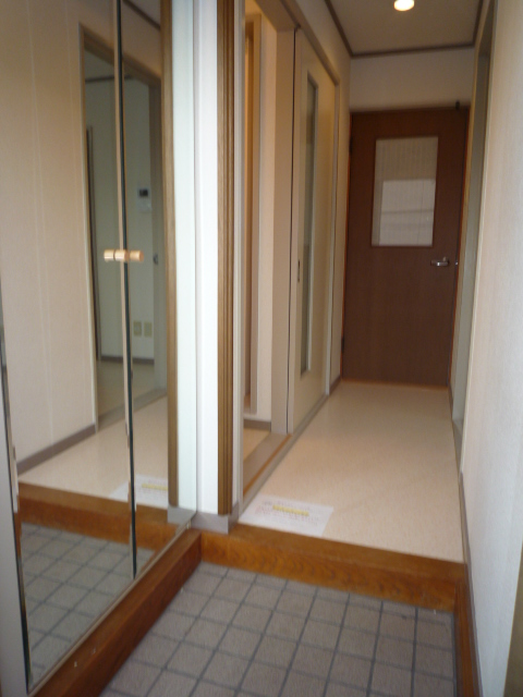 Entrance. Arrange the room in a wide space mirror surface of shoes BOX is