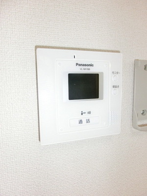 Security. Crime prevention TV Intercom equipped