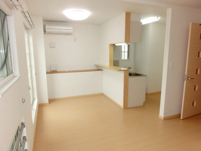 Other room space. LDK counter kitchen