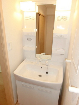 Washroom. Bathroom Vanity