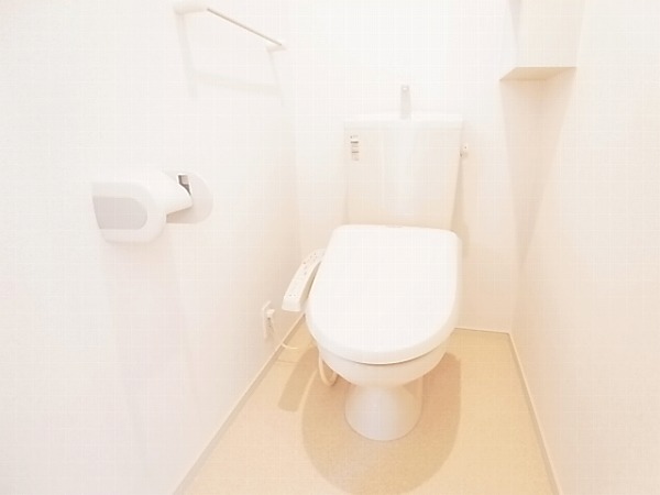 Toilet. Isomorphic property room photo