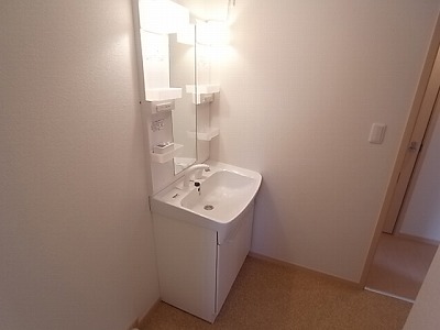 Washroom. Shampoo dresser