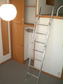 Living and room. It has become a loft and climb the ladder!