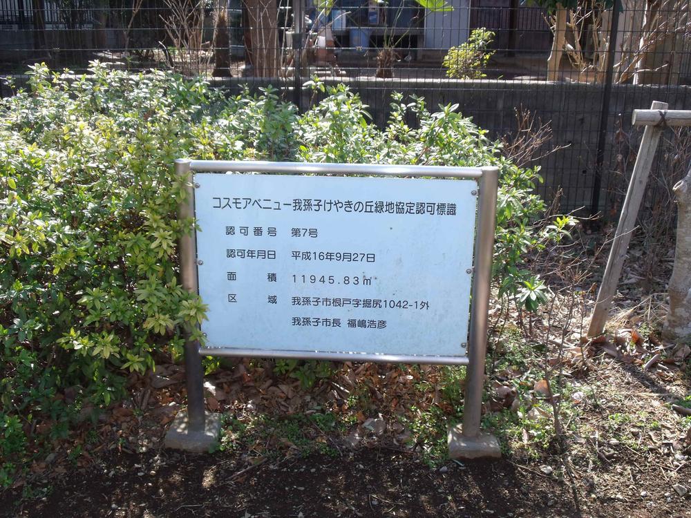 Other local
