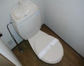 Toilet. Toilet