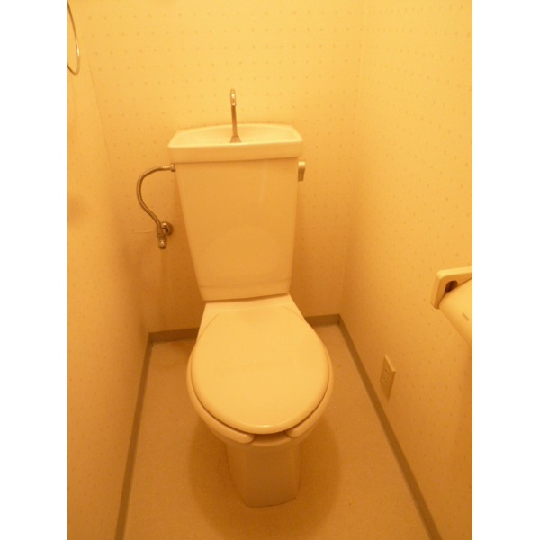 Toilet. Japanese style room