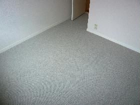 Living and room. It is the carpet of the room!