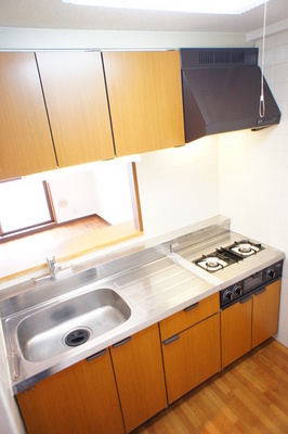 Kitchen. Two-burner stove installed already face-to-face kitchen