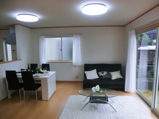 Living. Indoor (11 May 2013) Shooting