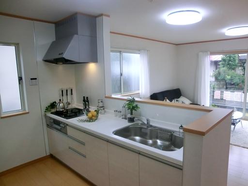 Kitchen. Indoor (11 May 2013) Shooting