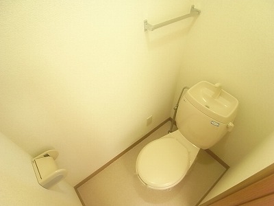 Toilet. Toilet