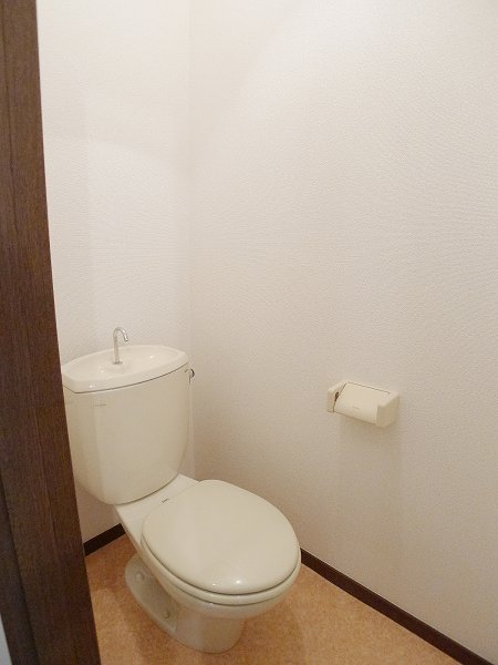 Toilet. Toilet