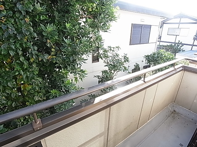 Balcony. Veranda