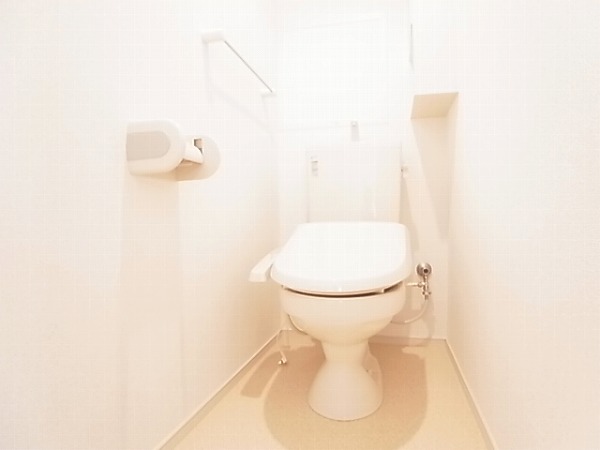 Toilet. Isomorphic property room photo