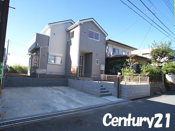 Local photos, including front road