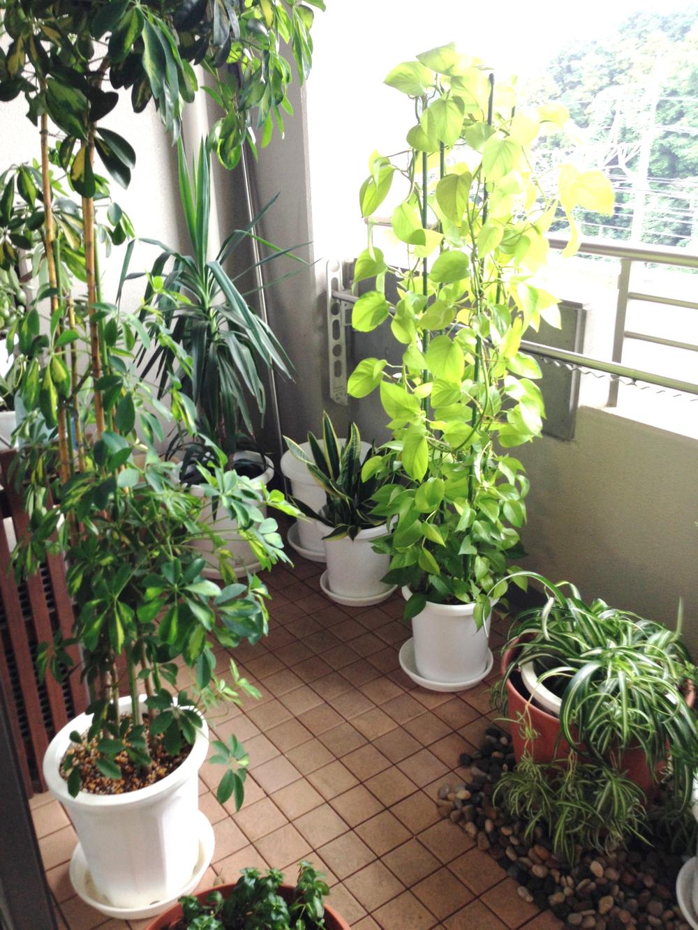 Balcony. Local (10 May 2013) Shooting