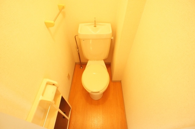 Toilet. There roll holder