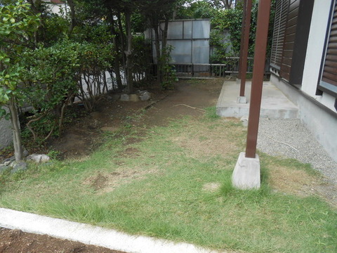 Garden. Garden