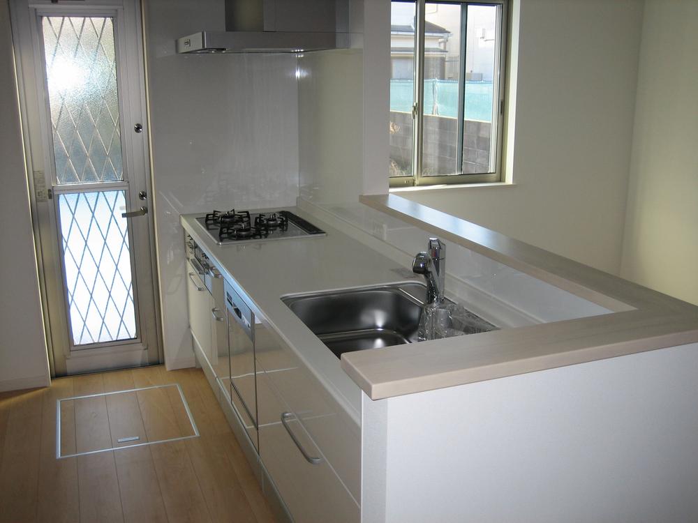 Kitchen. Indoor (24 December 2013) Shooting