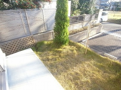 Balcony. Veranda