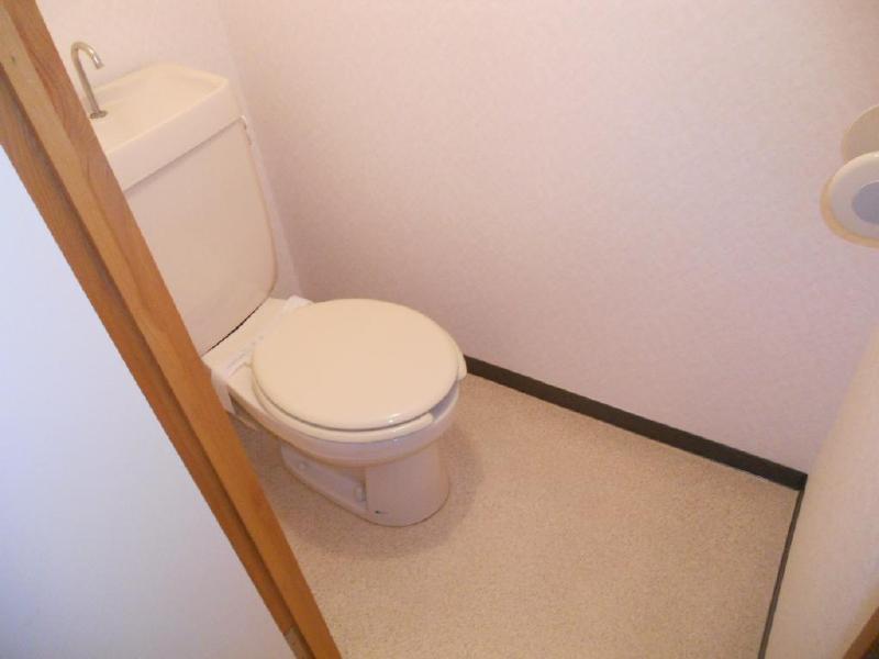 Toilet. Western-style of your toilet