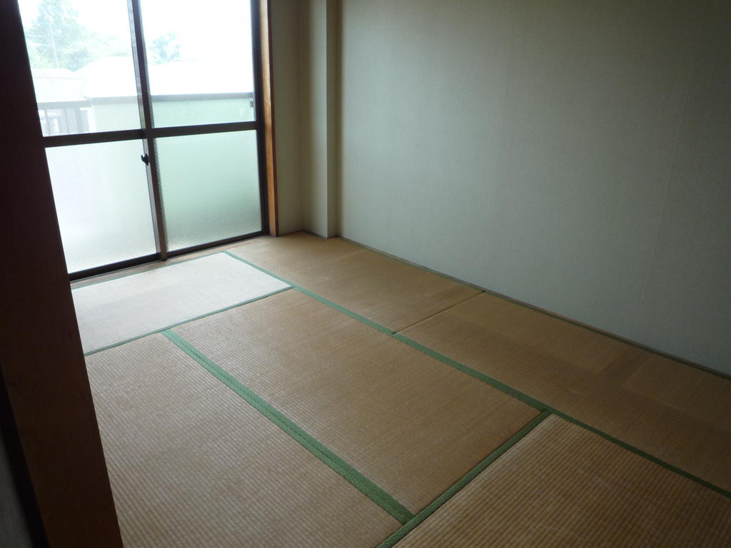 Other room space. Japanese style room