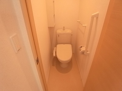 Toilet. Isomorphic property interior photo.