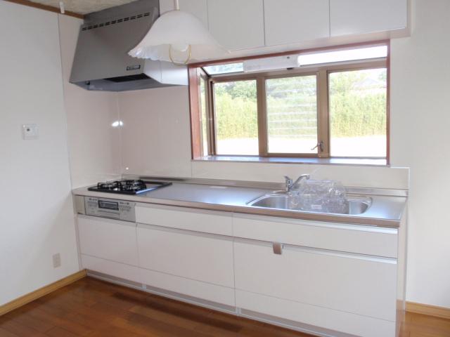 Kitchen. Indoor (10 May 2013) Shooting It was replaced in the kitchen spacious 270 cm. In stainless steel kitchen with cleanliness, Door is smooth closers of usability preeminent.