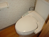 Toilet. Bidet