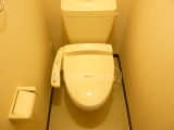 Toilet. With Washlet