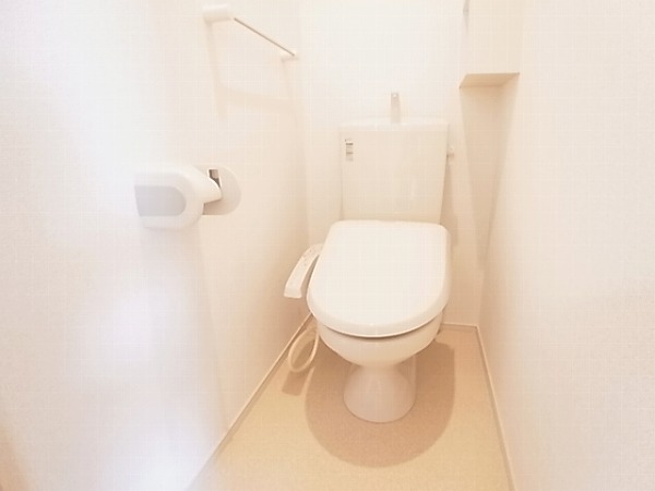 Toilet. Isomorphic property room photo